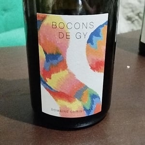 Bocons de gy - Domaine Christinat - Nathalie, Olivier & Noé Christinat -2023
