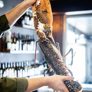 Bogavante Azul - Taberna do Bico - 895805