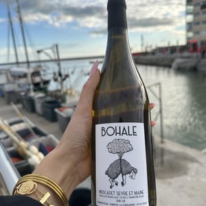 Bohale - Domaine de la Tourlaudière - romain-petiteau