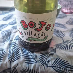 Bojo Villages - Bonne Tonne - thomas-anne-laure-agatensi -2022