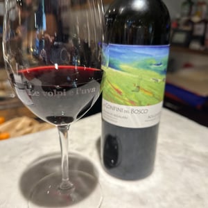 Ai Confini del Bosco Rosso - Azienda Agricola Mulini di Segalari - marina-tinacci-mannelli-emilio-monechi