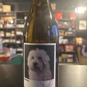 Bolinha - Casa de Mouraz - antonio-lopes-ribeiro-sara-dionisio