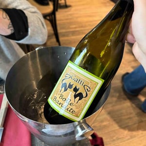 Bolle Bandite - Azienda Agricola Gatti - Carolina Gatti