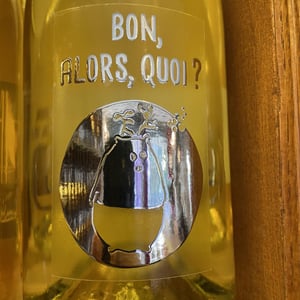 Bon, Alors Quoi - Camille Saillant - camille-saillant -2023