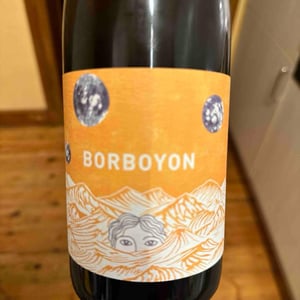 Borboyon - Domaine Blard Et Fils - francois-de-monval-florent-girou -2021