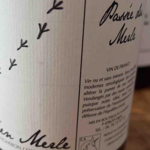 Bord D'Aile De Merle - Julien Merle - julien-merle