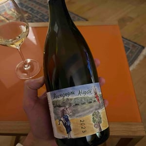 Bourgogne Aligoté - Domaine Henri Naudin-Ferrand - claire-naudin