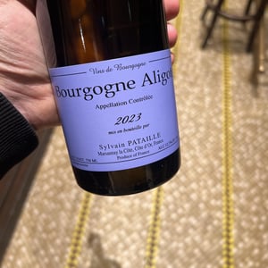 Bourgogne Aligoté - Sylvain Pataille - sylvain-pataille