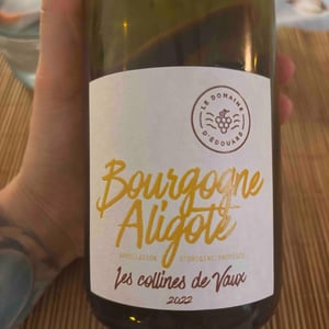 Bourgogne Aligoté 2018 - Domaine d'Edouard - edouard-lepesme