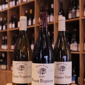 Bourgogne Aligoté - Domaine Pavelot - luc-lise-pavelot