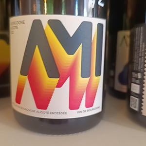 Bourgogne Aligoté Les Péteurs - Domaine Ami - paul-marchand-perarnau-willy-roulendes -2020