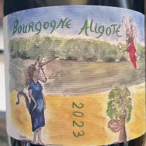 Bourgogne Aligoté - Domaine Henri Naudin-Ferrand - claire-naudin