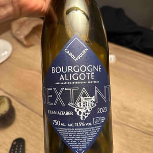 Bourgogne Aligoté 2018 - Domaine d'Edouard - edouard-lepesme