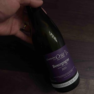 Bourgogne Côteaux de Dijon Rouge - Domaine de la Cras - marc-soyard