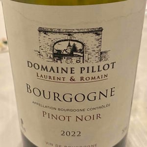 Bourgogne - Domaine Pillot Laurent et Romain - laurent-et-romain-pillot -2022
