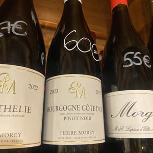 Bourgogne - Domaine Pierre Morey [BIO_ORGANIC] - pierre-morey -2023