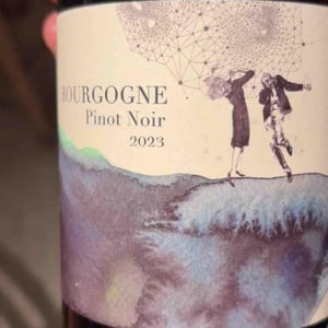 Bourgogne Pinot Noir - Domaine Didon - naima-david-didon