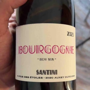 Vin de Bourgogne - Santini Collective - christopher-patrick-santini