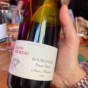 Bourgogne Sous Montot - David Moreau - david-moreau -2022