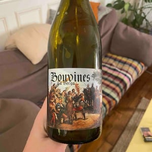 Bouvines - La Sorga - antony-tortul -2022