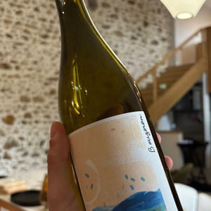 Bouzeron - La Chaume des Lies - margaux-rivaux-lothar-galloo