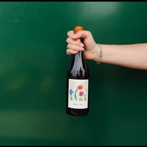 Brisat - Vinyes Singulars - ignasi-segui -2023