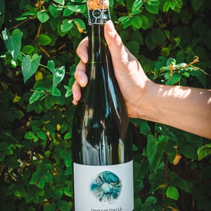 Brut Nature - Domaine D'ici là - adrien-bariol