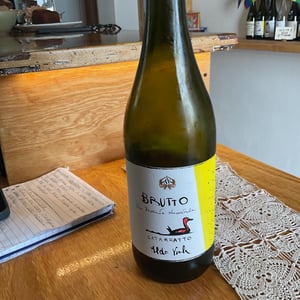 Brutto - Azienda Agricola Aldo Viola - aldo-viola