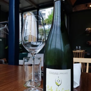 Bulle des Cimes Vouvray - Domain de la Canopée - jeremy-lajoux -2021