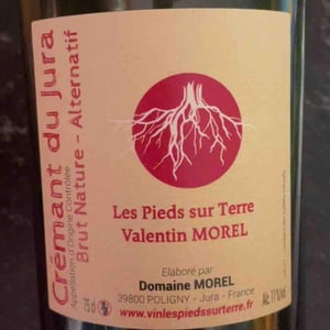 Alternatif rose - Les Pieds Sur Terre - valentin-morel