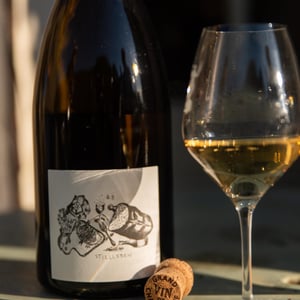 Bulles de Comptoir - Charles Dufour - charles-dufour