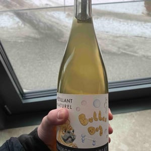 Bulles Dog - Maison François de Nicolay - francois-de-nicolay