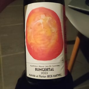 Lieu-Dit Bungertal - Florian & Mathilde Beck-Hartweg - florian-mathilde-beck-hartweg