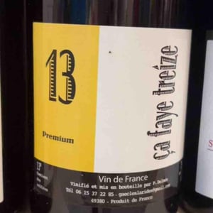 Ça Faye 12 - Delmée Martin - philippe-delmee-aurelien-martin