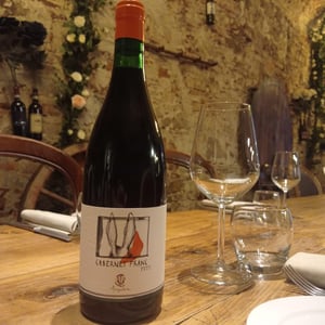 Cabernet Franc - Ampeleia - marco-tait -2020