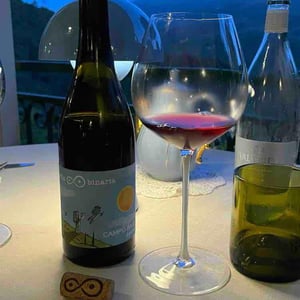 Campo Base Il Giorno - Stella Binaria - Simone Ignesti -2023