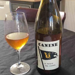 Canine (le raisin des chiens) - Le Batossay - baptiste-cousin