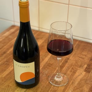 Canopée - Vignobles David - frederic-david -2021