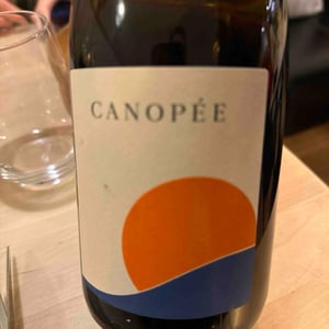 Canopée - Vignobles David - frederic-david -2021