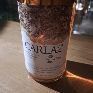 Carlaz - Primaterra - walter-de-batte-1j