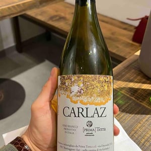 Carlaz - Primaterra - Walter De Batté