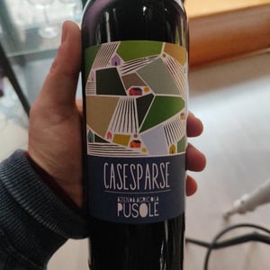 CaseSparse - PUSOLE - roberto-e-lorenzo-pusole -2024