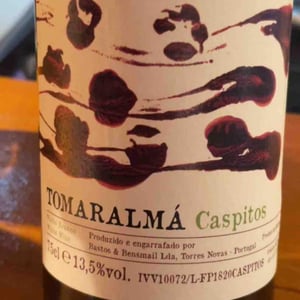 Caspitos Brnco - Tomaralmá - silvia-bastos-nadir-bensmail -2017