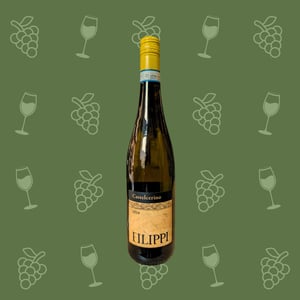 Castelcerino - Visco & Filippi Azienda Agricola - filippo-filippi