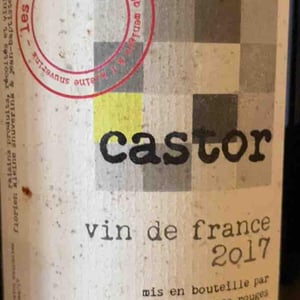 Castor - Les Bottes Rouges - florien-klein-snuverink-jean-baptiste-menigoz