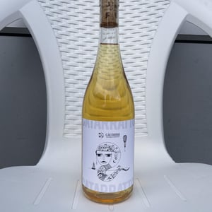 Catarratto - Azienda Agricola Gaudioso - antonio-rosa-gaudioso