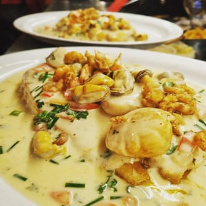 Catch Of The Day - Lion Belge - 965336