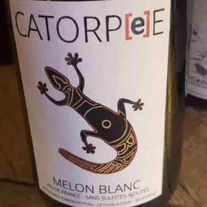 Catorpee Blanc - Domaine de la Tourlaudière - romain-petiteau