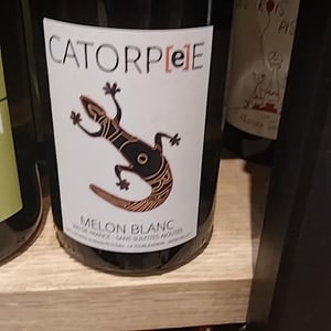 Catorpee Blanc - Domaine de la Tourlaudière - romain-petiteau