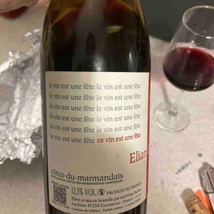 Ce Vin Est Une Fête - Elian Da Ros - sandrine-et-elian-da-ros